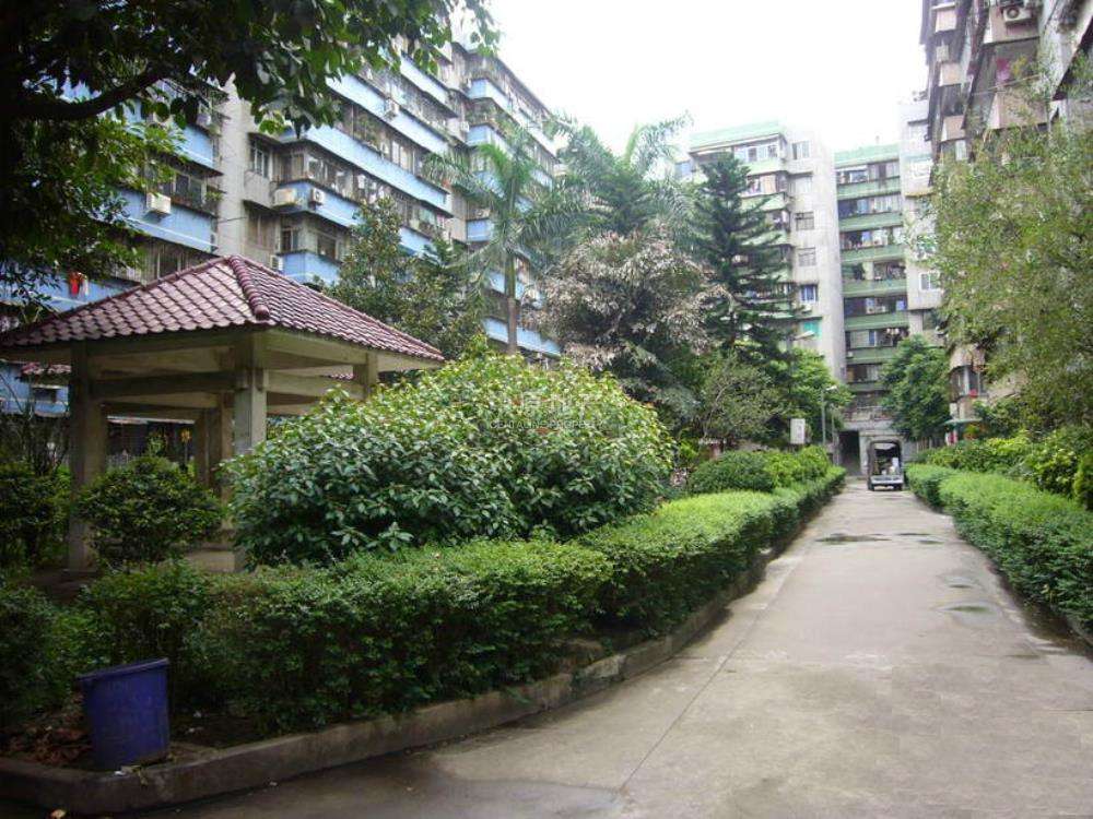 �V�ݰ��m���@